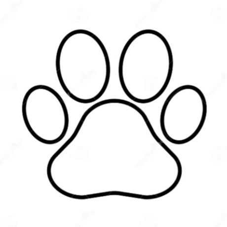 Pa Prince トップポルノスター 写真