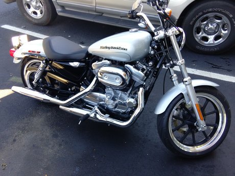 Robbie S_ 独占女優 画像