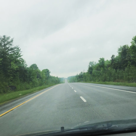 FelixOnlyForArt ポルノ女優 画像