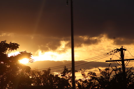 Freaks313 ポルノ女優 アーカイブ