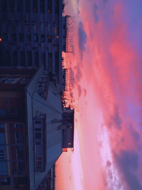 Lim n Miau かわいいスター 画像