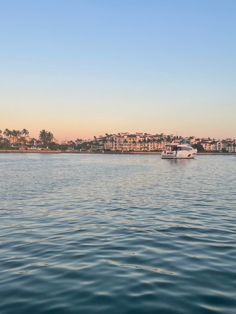 Versphillyboy 美しいスター 画像