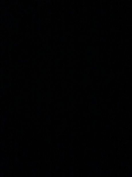 LJB アダルトスター 写真