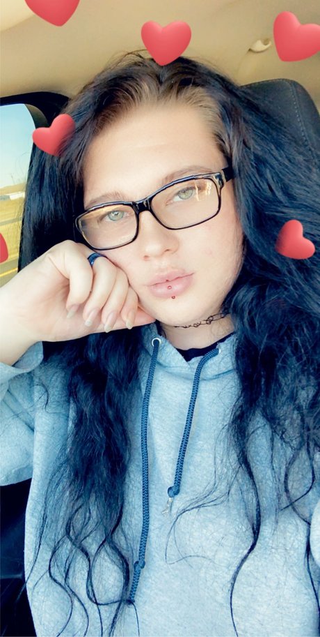 Davyn アートスター 写真