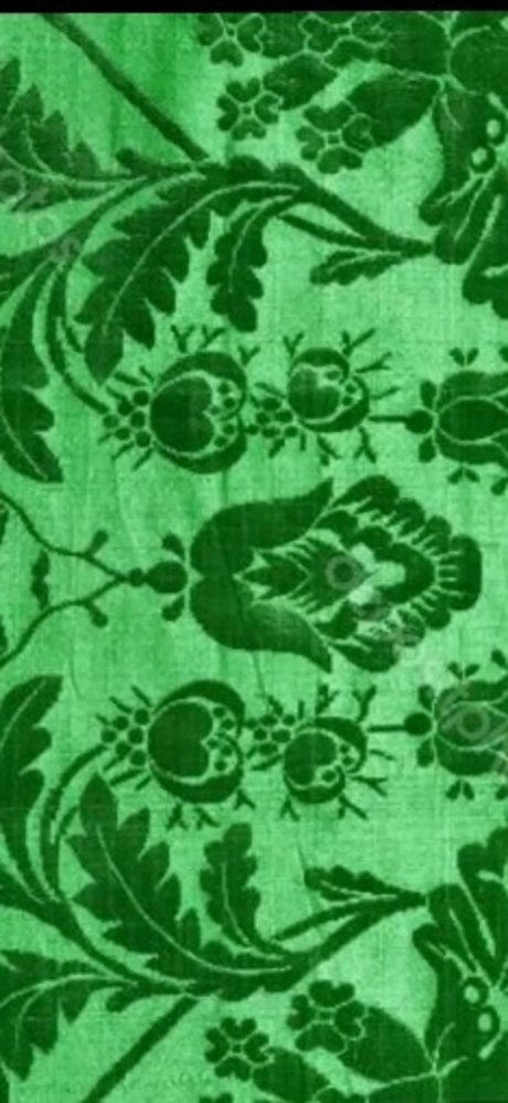 OracleApollo アダルトモデル 画像