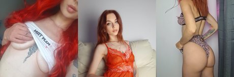 Red Bonanza 完璧なスター 写真