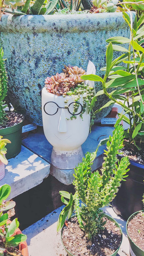 IrishGirl 美しいモデル 画像