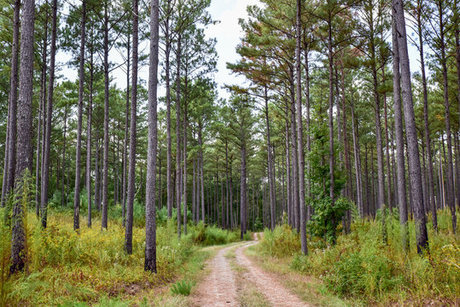 GaCub_ ホットなスター 写真