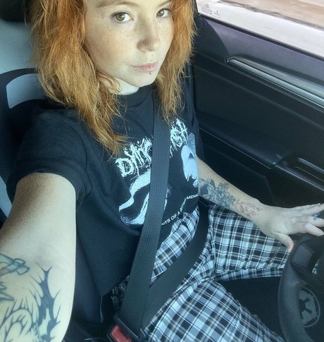 coda baby4 アートポルノスター 画像