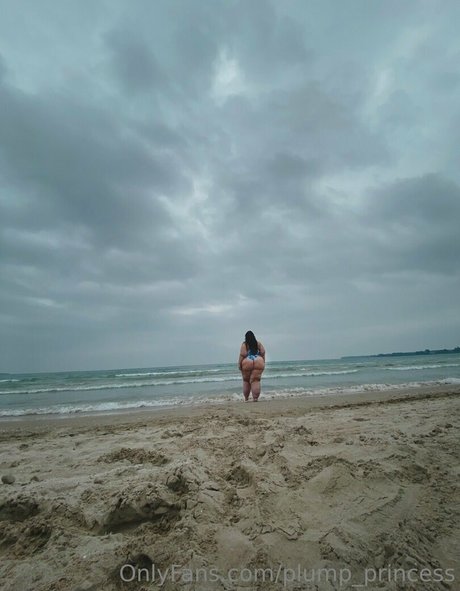 plump princess 高品質のスター 写真