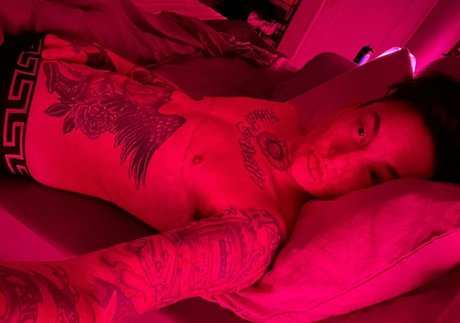 nikkihearts HDモデル 画像