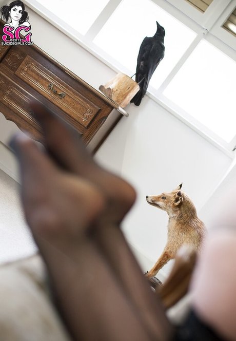 アジア人 ノーPPV オンリーファンズ 無料ヌード 写真