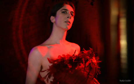 sophieladder ポルノスター トップ 写真