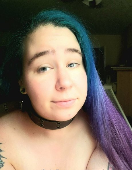 黒猫のOnlyFans 美しい アーカイブ