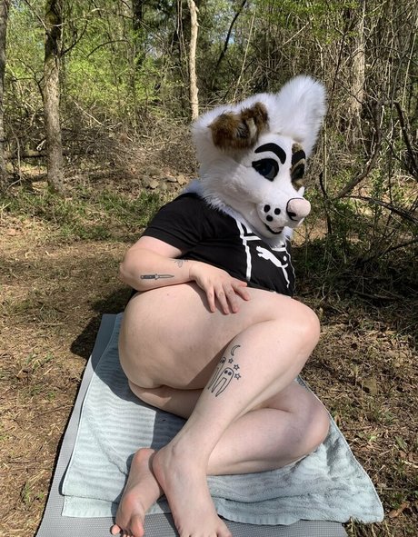 saoirsemutt アダルトスター 画像