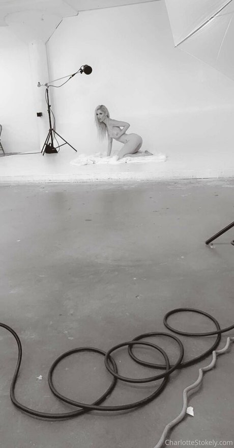 char stokely ポルノスター 写真