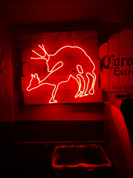 LoverBoy_ ヌード女優 ギャラリー