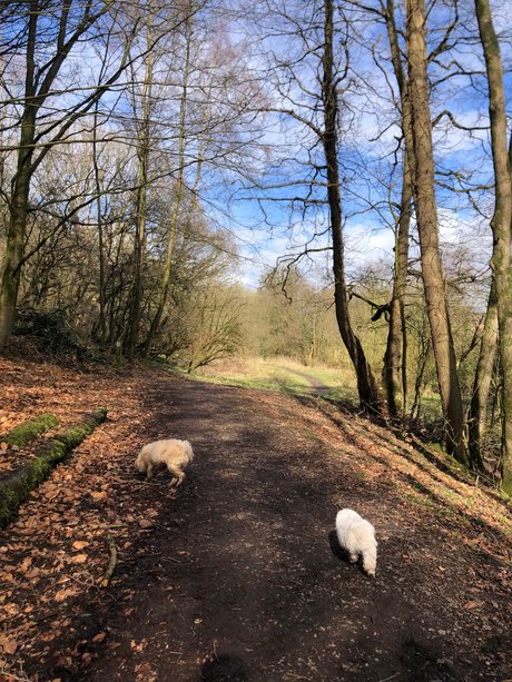 Sweet candy_ 独占ポルノスター 写真