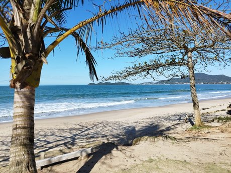 El Ni o 女優 写真