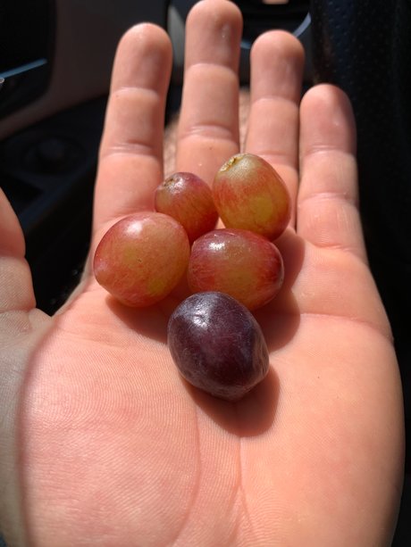 Stumbling Sailor セクシー女優 アーカイブ