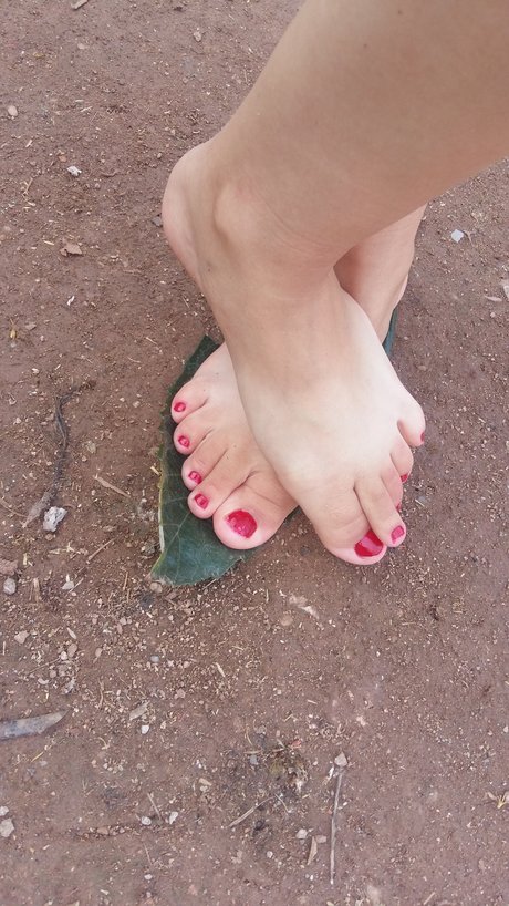 PhoFihad ポルノスター アダルト アーカイブ