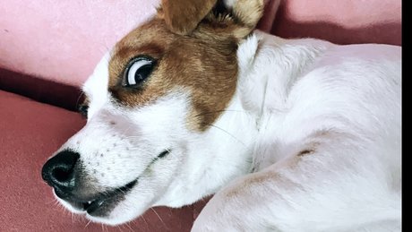 Winyl ポルノスター 写真