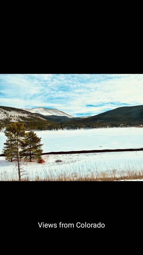 Sheldon Bucknor スター ヌード アーカイブ