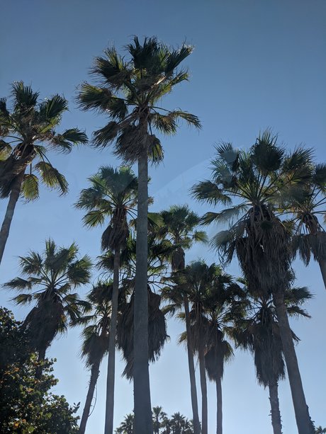 Laetitia_ ホット女優 写真