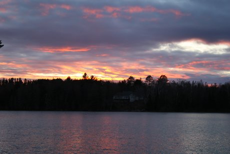 Corvette Marty ホットスター 画像