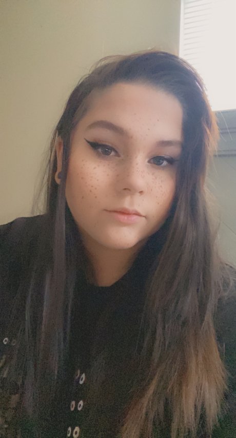 Brady アートスター 画像