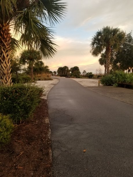 Chase Perkins セックススター 写真