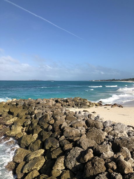 Robert Banks_ 高品質のスター 写真