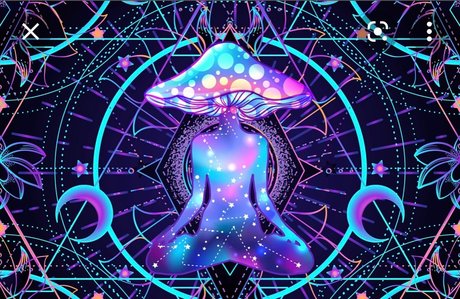 HVC 無料モデル アーカイブ