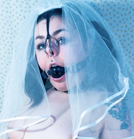 Virginia Dentata トップポルノスター アーカイブ