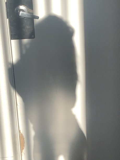 Pumbies_ HDモデル 画像