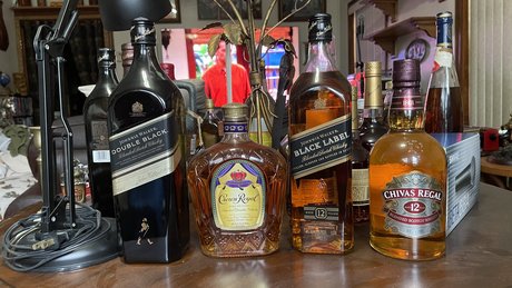 Bryan Flores 独占スター ギャラリー