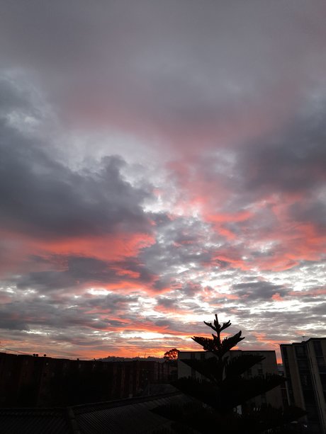 Danielaaa トップスター 画像