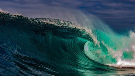 White Congo HDモデル 写真