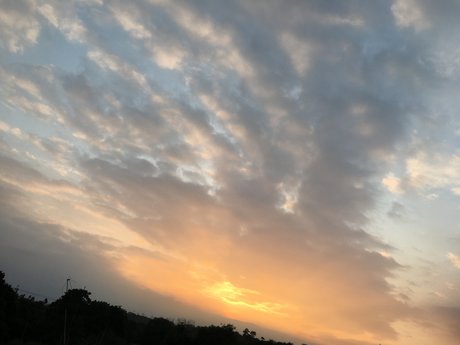 Percy Hidalgo ポルノスター 写真