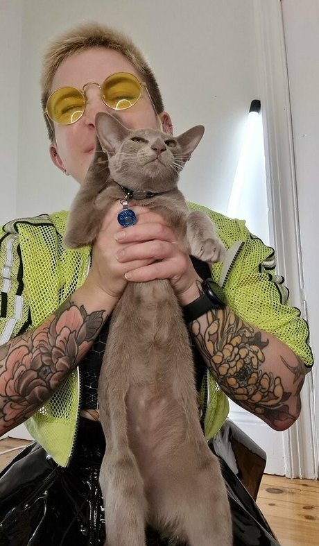 Notaprodigy スターセックス 写真