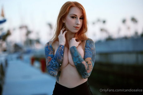 Candice Alice 高品質女優 写真