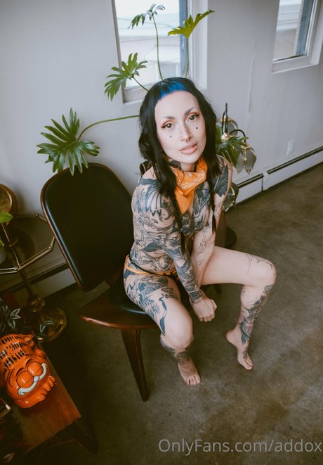 曲線美のランジェリーOnlyFans 無料アダルト 写真