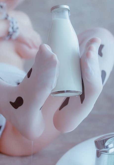 Voezacos HDモデル 写真