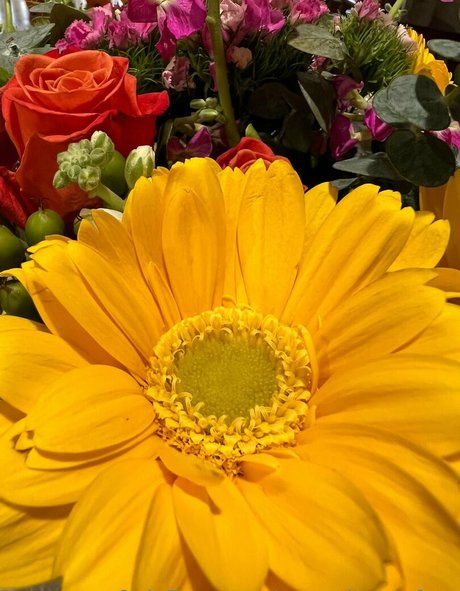 JOIアジアンOnlyFans アダルト ギャラリー