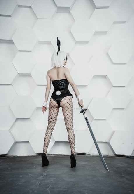 Kanra HDモデル 写真