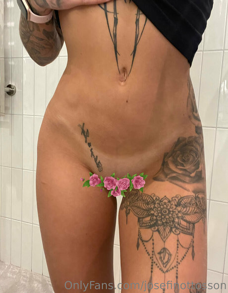 Josefin Ottosson スター ヌード 写真