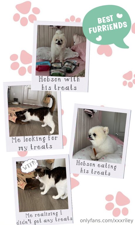 日本の女子高生OnlyFans アートポルノ アーカイブ