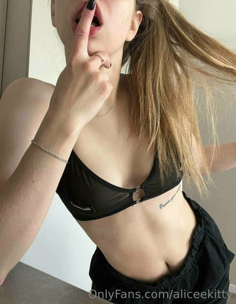 aliceekitty ポルノスター 写真