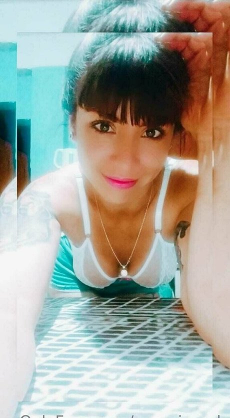 pampi cush ポルノスター 写真