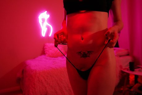 Jadez 高品質スター ギャラリー